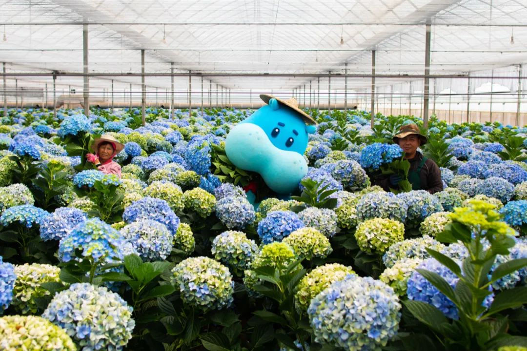 深圳品牌設(shè)計(jì)｜爛漫春日，這4個(gè)APP的鮮花營銷做得好有“花樣”！