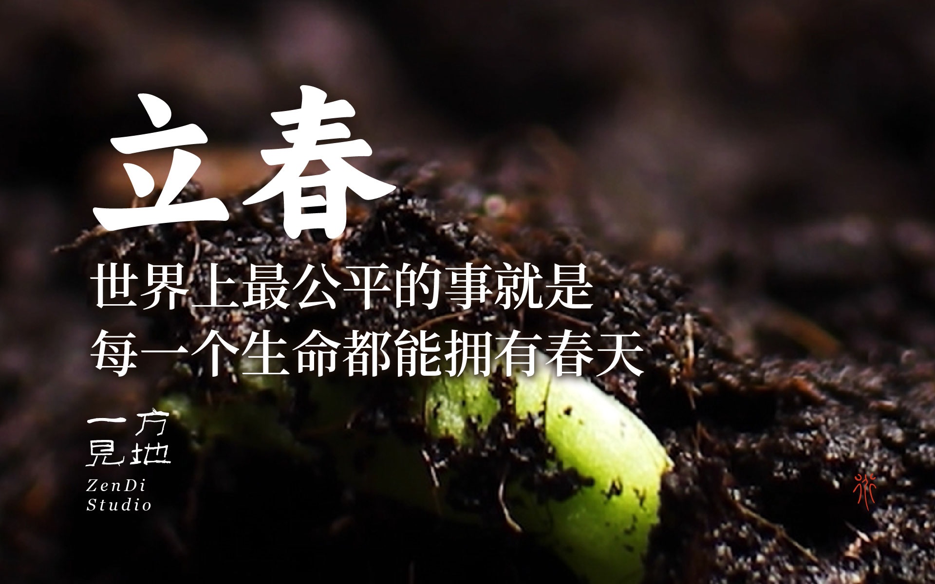 深圳品牌設(shè)計(jì)｜教科書(shū)級(jí)節(jié)氣文案，圈粉700W
