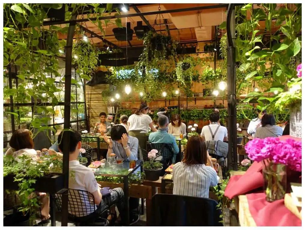 深圳品牌設計｜8.8一杯的庫迪，正在占領日本