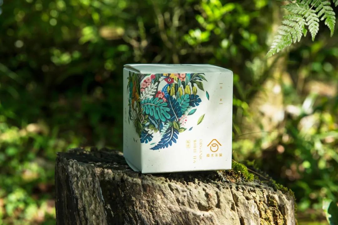 深圳品牌設(shè)計｜循環(huán)再利用，用茶渣造紙包裝茶葉——臺灣綠光茶園環(huán)保有機茶包裝設(shè)計欣賞